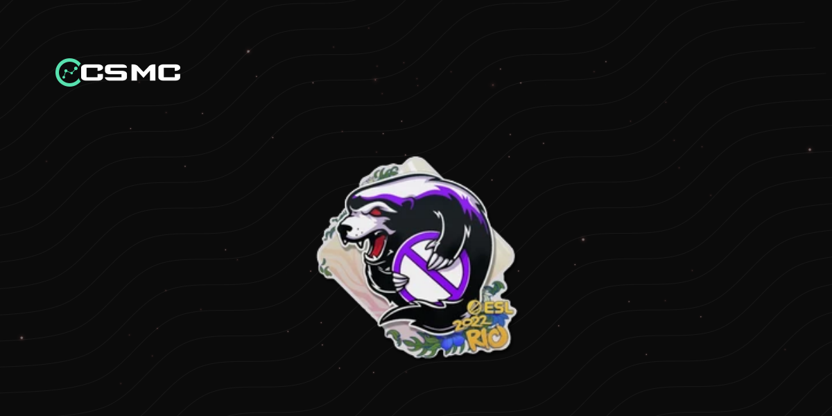 Sticker | Outsiders | Rio 2022 - Price, Info & Where to Buy in CS2