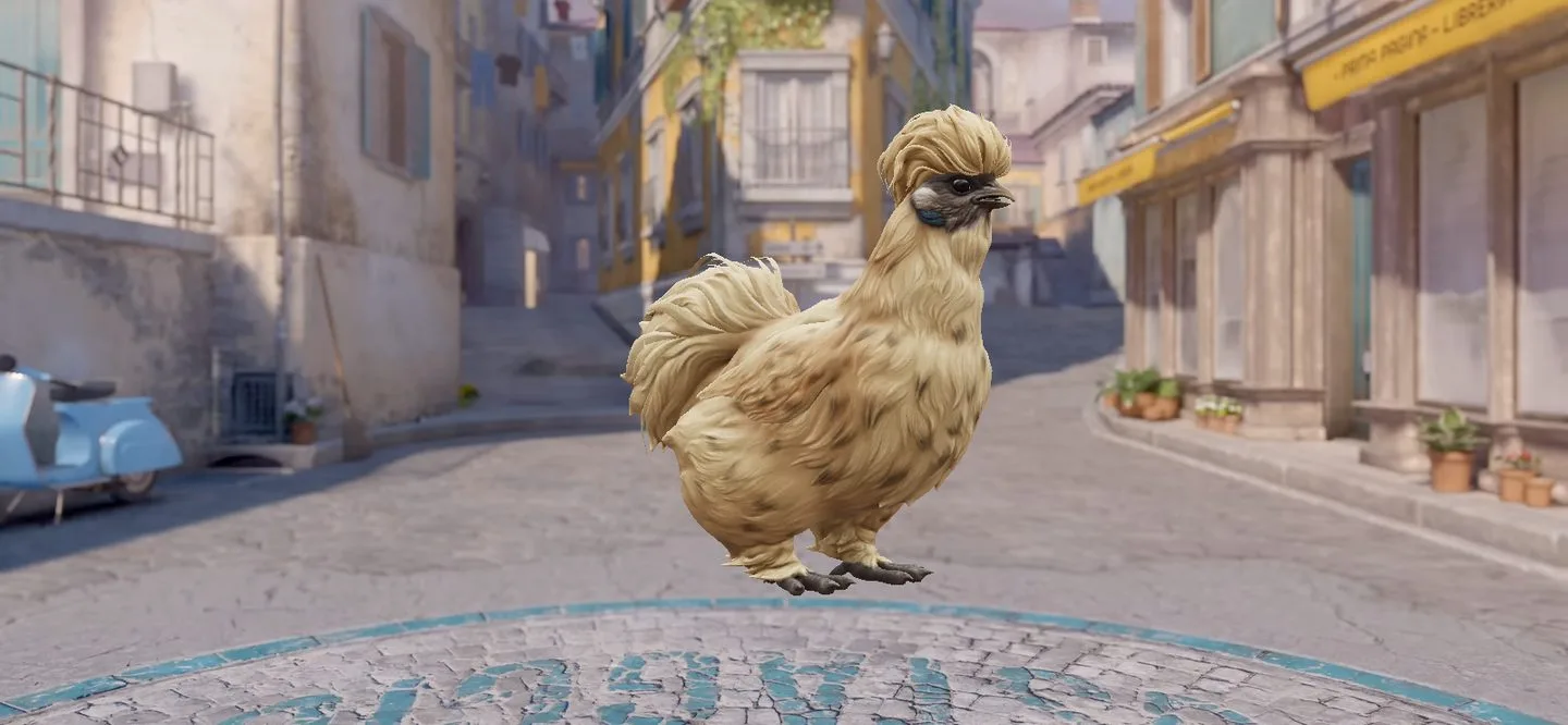 Dale a tu gallina su propia página