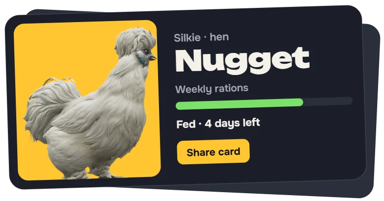 Every CS2 chicken
gets a page