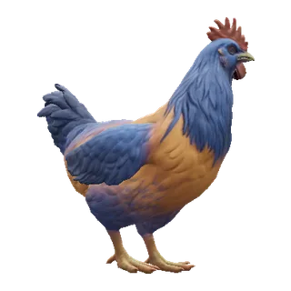 Catalana Orange Blue Neck — CS2 pet chicken