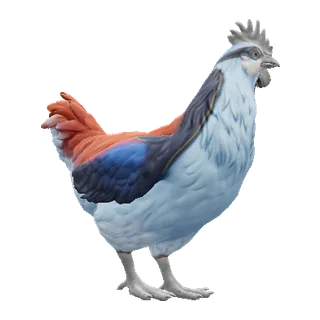 Catalana Light Blue and Red — CS2 pet chicken