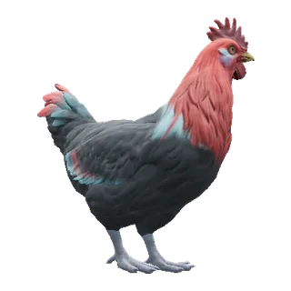 Catalana Black with Red Head — CS2 pet chicken