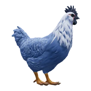 Catalana Blue — CS2 pet chicken