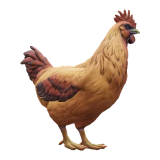 Catalana Dark Orange — CS2 pet chicken