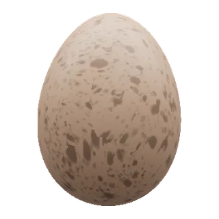 鸡蛋