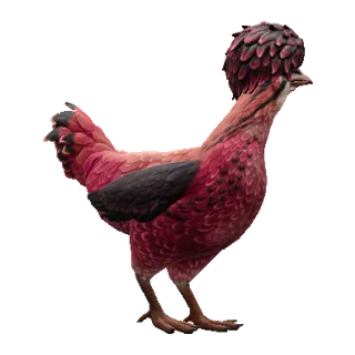 Polish Orange White Blue — CS2 pet chicken