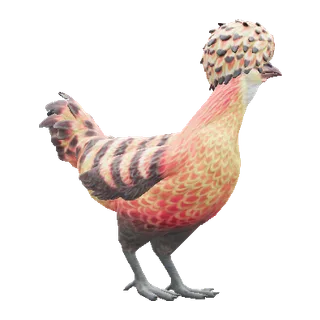 Polish Orange with Black Stripes — CS2 pet chicken