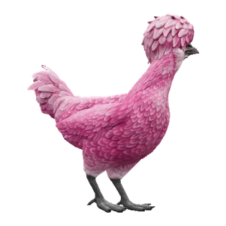 Polish Pink — CS2 pet chicken