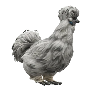 Silkie Splash — CS2 pet chicken