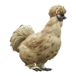 Silkie Leopard — CS2 pet chicken