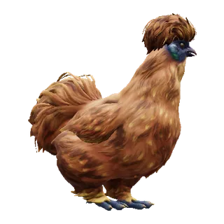 Silkie Orange — CS2 pet chicken